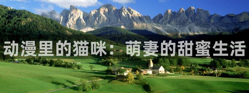 another无删减风车动漫：动漫里的猫咪：萌妻的甜蜜生活