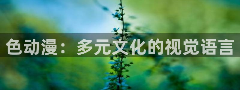 风车动漫tv：色动漫：多元文化的视觉语言