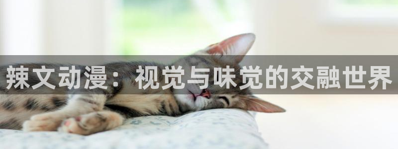 风车动漫网页：辣文动漫：视觉与味觉的交融世界