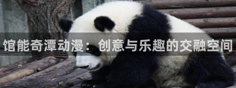 风车动漫风：馆能奇潭动漫：创意与乐趣的交融空间