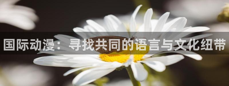 风车动漫免费全集在线播放：国际动漫：寻找共同的语言与文化纽带