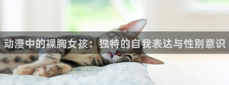 dm530风车动漫官网：动漫中的裸胸女孩：独特的自我表达与性别意识