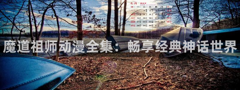 风车动漫ios版：魔道祖师动漫全集：畅享经典神话世界