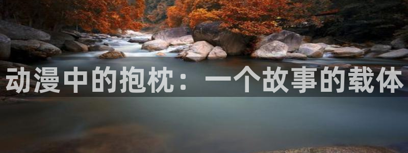 风车动漫专注动漫的网站专注动漫：动漫中的抱枕：一个故事的载体